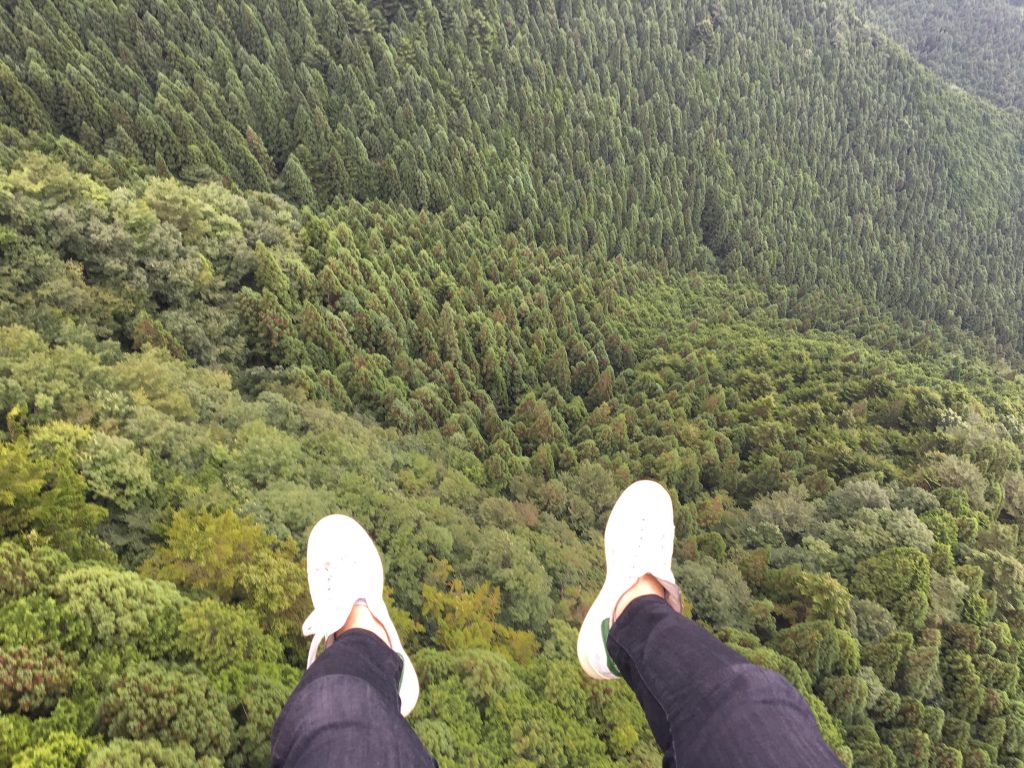パラグライダー中の景色