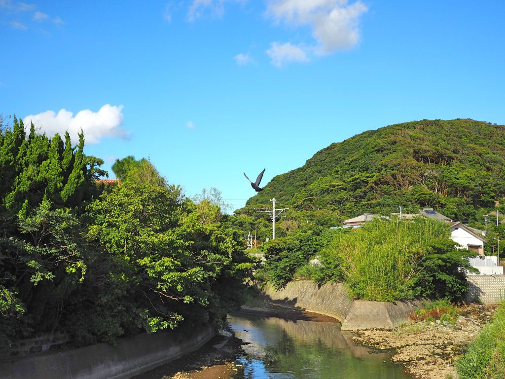 写真は今いる千葉県金谷の風景