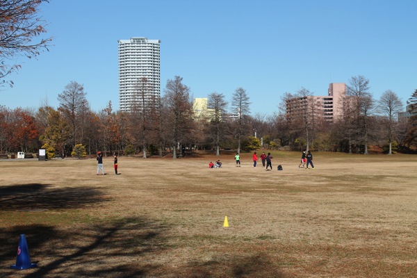 f:id:jimpeipei:20141024144155j:plain f:id:jimpeipei:20141024144155j:plain