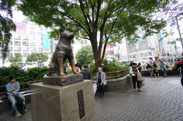 f:id:jimpeipei:20150123164050j:plain f:id:jimpeipei:20150123164050j:plain