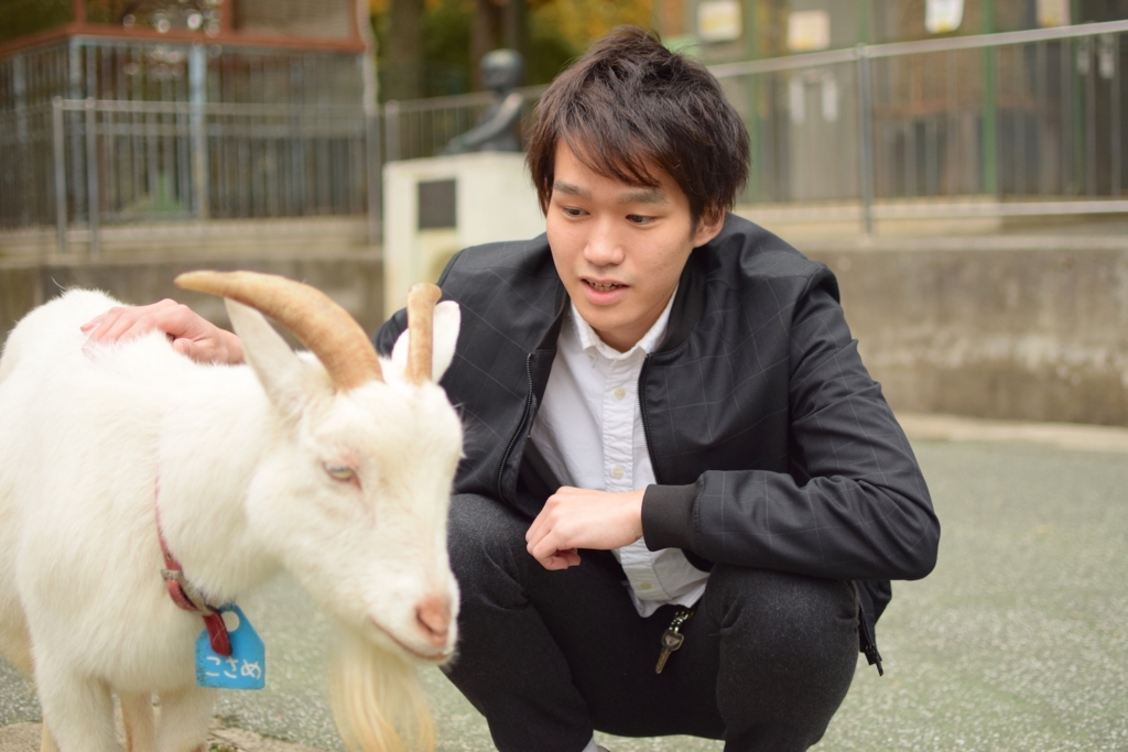 f:id:jimpeipei:20160106181636j:plain f:id:jimpeipei:20160106181636j:plain
